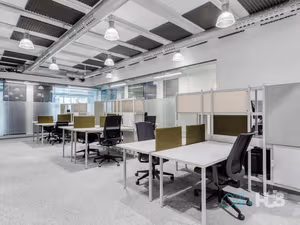 1 Person Virtual Office