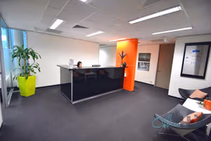 1 Person Virtual Office