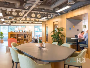 1 Person Virtual Office