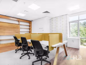 1 Person Virtual Office