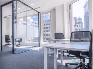 1 Person Virtual Office