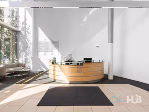 1 Person Virtual Office