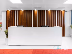 1 Person Virtual Office