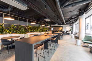 1 Person Virtual Office