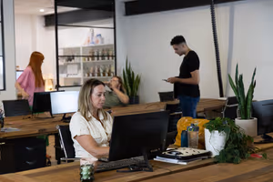 1 Person Virtual Office