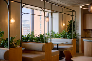36 Person Enterprise Suite