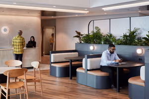 1 Person Virtual Office