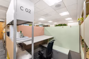 1 Person Virtual Office