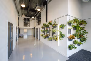 3 Person Private Office