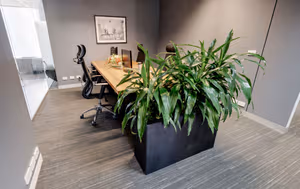 3 Person Private Office