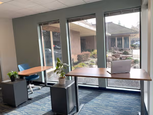 1 Person Virtual Office