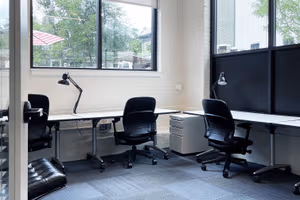 1 Person Virtual Office