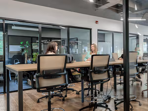 1 Person Virtual Office