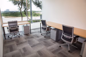 1 Person Virtual Office
