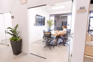 1 Person Virtual Office