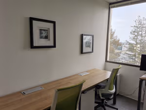 1 Person Virtual Office