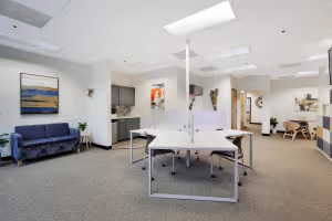 1 Person Virtual Office