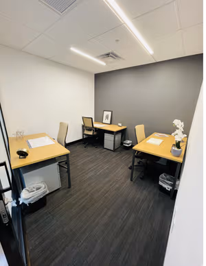1 Person Virtual Office