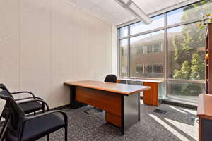 1 Person Virtual Office