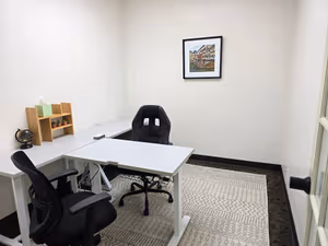 1 Person Virtual Office