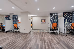 1 Person Virtual Office