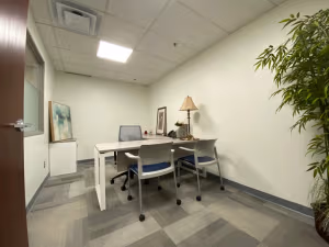1 Person Private Office