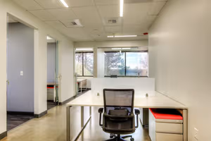 1 Person Virtual Office