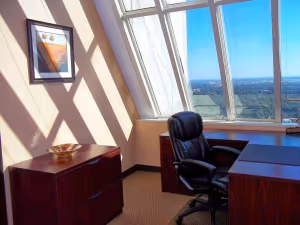 1 Person Virtual Office