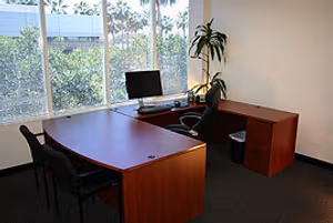 1 Person Virtual Office