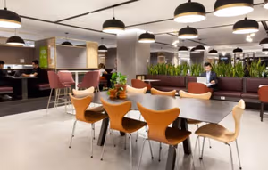 1 Person Virtual Office