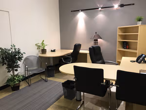 1 Person Virtual Office