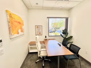 1 Person Private Office