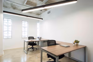 1 Person Virtual Office