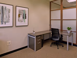 1 Person Private Office