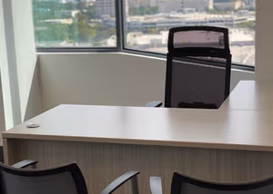 1 Person Virtual Office