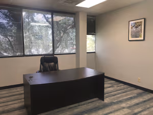 1 Person Virtual Office