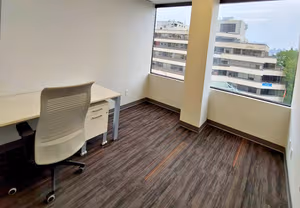 3 Person Private Office