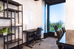 1 Person Virtual Office