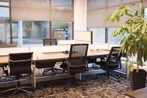 1 Person Virtual Office