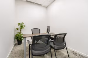 1 Person Virtual Office