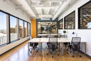 1 Person Virtual Office