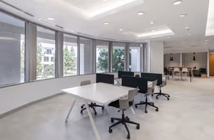 1 Person Virtual Office