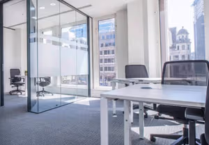 1 Person Virtual Office