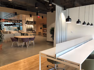 1 Person Virtual Office