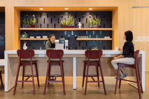 1 Person Virtual Office