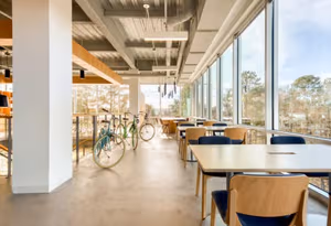 1 Person Virtual Office