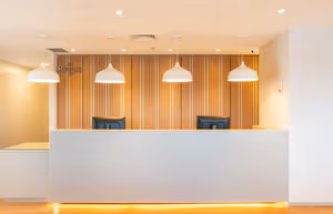 1 Person Virtual Office