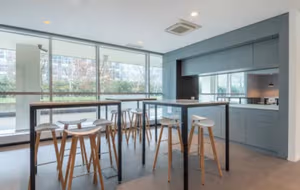 1 Person Virtual Office