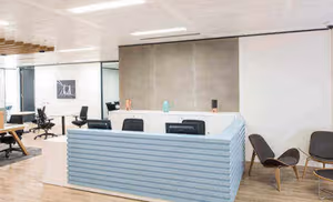 1 Person Virtual Office