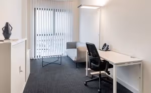 1 Person Virtual Office